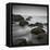 Muir Beach-Jamie Cook-Framed Premier Image Canvas