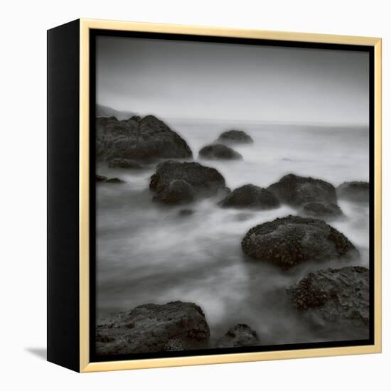 Muir Beach-Jamie Cook-Framed Premier Image Canvas