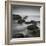 Muir Beach-Jamie Cook-Framed Giclee Print