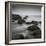 Muir Beach-Jamie Cook-Framed Giclee Print