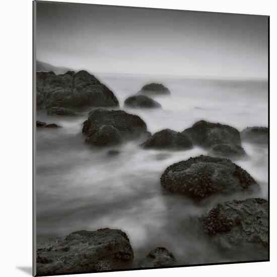 Muir Beach-Jamie Cook-Mounted Giclee Print