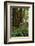 Muir Woods, Marin Headlands, California-Anna Miller-Framed Photographic Print