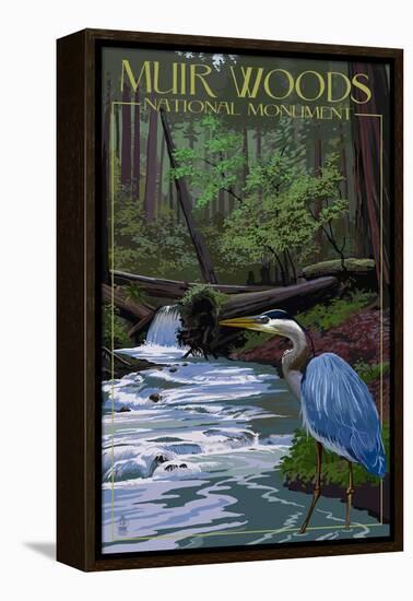 Muir Woods National Monument, California - Blue Heron-Lantern Press-Framed Stretched Canvas