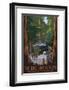 Muir Woods National Monument, California - Entrance-Lantern Press-Framed Art Print