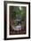 Muir Woods National Monument, California - Entrance-Lantern Press-Framed Art Print