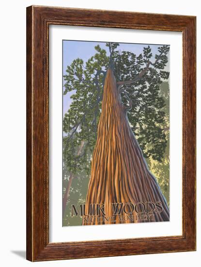 Muir Woods National Monument, California - Looking Up Tree-Lantern Press-Framed Art Print