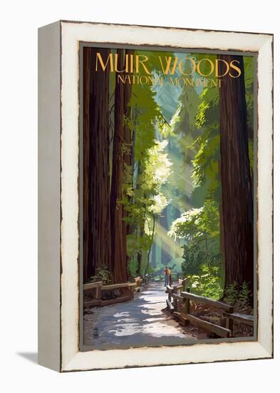 Muir Woods National Monument, California - Pathway-Lantern Press-Framed Stretched Canvas