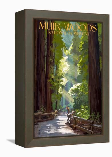 Muir Woods National Monument, California - Pathway-Lantern Press-Framed Stretched Canvas