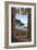 Muir Woods National Monument, California - Trees and Ocean-Lantern Press-Framed Art Print