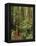 Muir Woods National Monument, Redwood Forest, California, Usa-Gerry Reynolds-Framed Premier Image Canvas