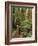 Muir Woods National Monument, Redwood Forest, California, Usa-Gerry Reynolds-Framed Photographic Print