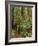 Muir Woods National Monument, Redwood Forest, California, Usa-Gerry Reynolds-Framed Photographic Print