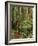 Muir Woods National Monument, Redwood Forest, California, Usa-Gerry Reynolds-Framed Photographic Print