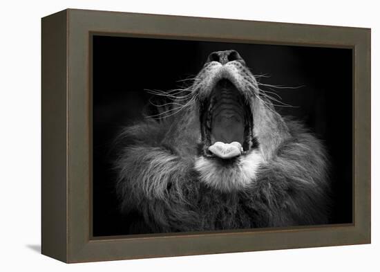 Mujambi-SD Smart-Framed Premier Image Canvas