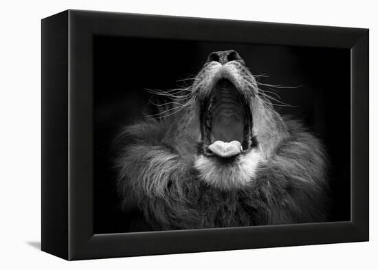 Mujambi-SD Smart-Framed Premier Image Canvas