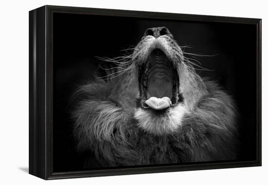 Mujambi-SD Smart-Framed Premier Image Canvas