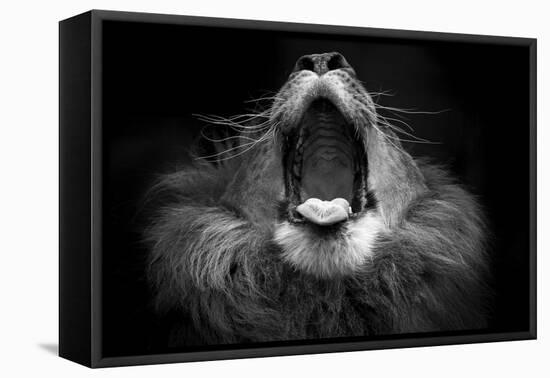 Mujambi-SD Smart-Framed Premier Image Canvas