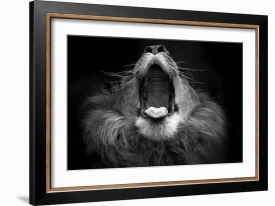 Mujambi-SD Smart-Framed Photographic Print