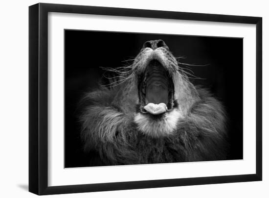 Mujambi-SD Smart-Framed Photographic Print