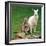 Mulali, Right, a Two-Year-Old Albino Grey Kangeroo Stands Next to Her Joey-null-Framed Photographic Print