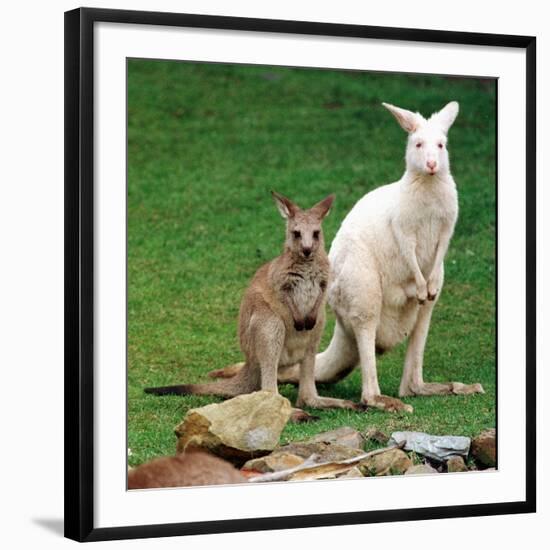 Photographic Print, , large