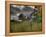 Mulane-Jim Crotty-Framed Premier Image Canvas