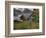 Mulane-Jim Crotty-Framed Photographic Print