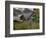 Mulane-Jim Crotty-Framed Photographic Print