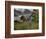 Mulane-Jim Crotty-Framed Photographic Print