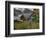 Mulane-Jim Crotty-Framed Photographic Print