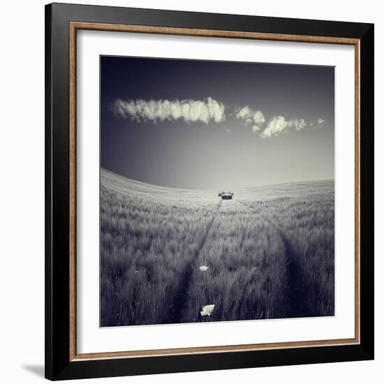 Mulane-Luis Beltran-Framed Photographic Print