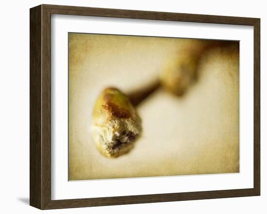 Mulberry 2-Jessica Rogers-Framed Giclee Print