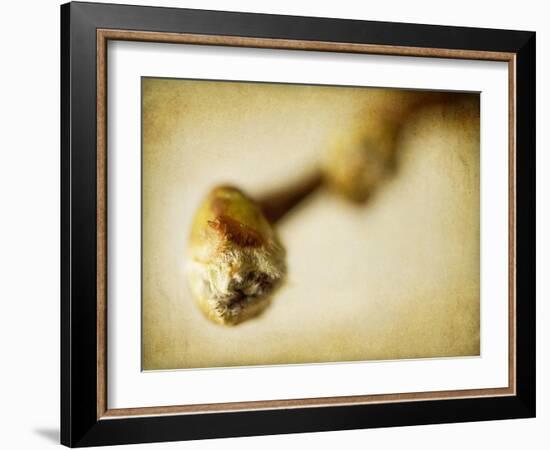 Mulberry 2-Jessica Rogers-Framed Giclee Print