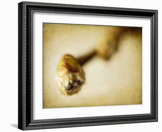 Mulberry 2-Jessica Rogers-Framed Giclee Print