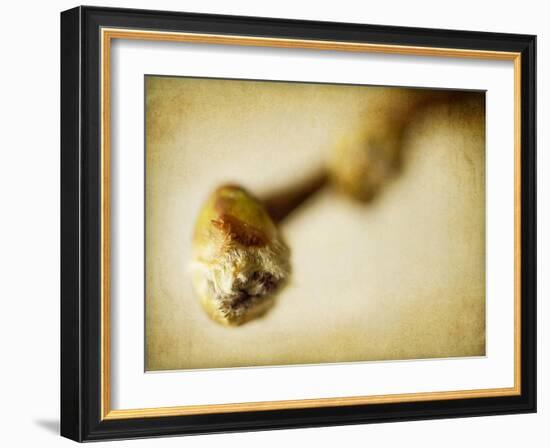 Mulberry 2-Jessica Rogers-Framed Giclee Print