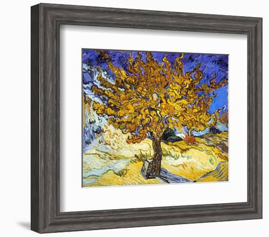 Mulberry Tree, c.1889-Vincent van Gogh-Framed Art Print