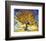 Mulberry Tree, c.1889-Vincent van Gogh-Framed Art Print