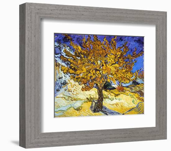 Mulberry Tree, c.1889-Vincent van Gogh-Framed Art Print