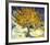 Mulberry Tree, c.1889-Vincent van Gogh-Framed Art Print