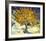 Mulberry Tree, c.1889-Vincent van Gogh-Framed Art Print