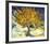 Mulberry Tree, c.1889-Vincent van Gogh-Framed Art Print