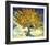 Mulberry Tree, c.1889-Vincent van Gogh-Framed Art Print