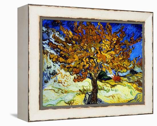 Mulberry Tree, c.1889-Vincent van Gogh-Framed Premier Image Canvas