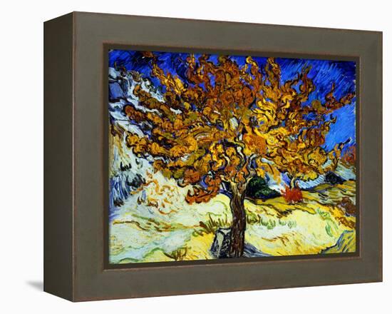 Mulberry Tree, c.1889-Vincent van Gogh-Framed Premier Image Canvas