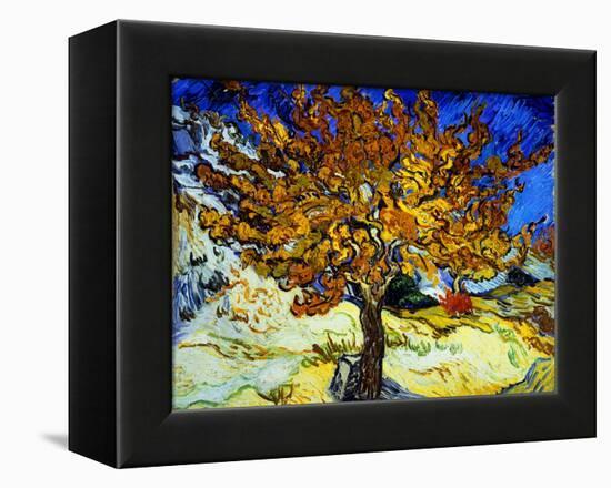 Mulberry Tree, c.1889-Vincent van Gogh-Framed Premier Image Canvas