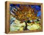 Mulberry Tree, c.1889-Vincent van Gogh-Framed Premier Image Canvas