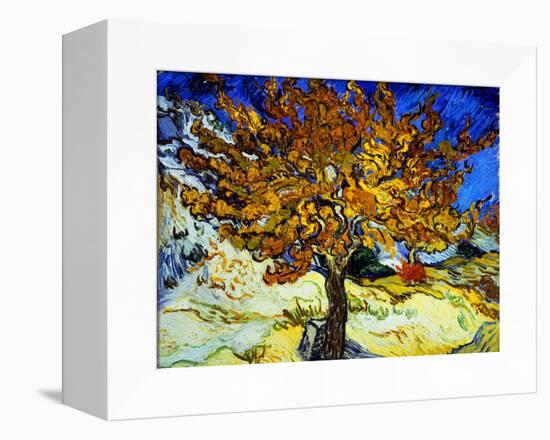 Mulberry Tree, c.1889-Vincent van Gogh-Framed Premier Image Canvas