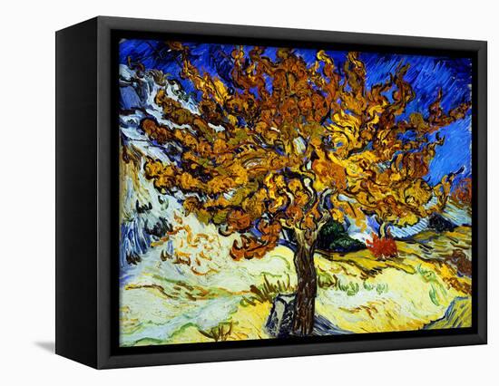 Mulberry Tree, c.1889-Vincent van Gogh-Framed Premier Image Canvas