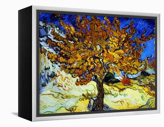 Mulberry Tree, c.1889-Vincent van Gogh-Framed Premier Image Canvas