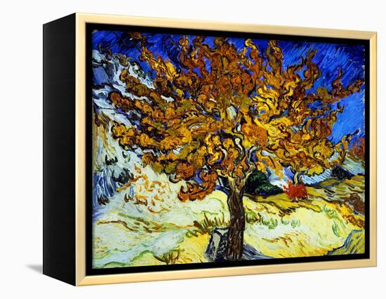 Mulberry Tree, c.1889-Vincent van Gogh-Framed Premier Image Canvas